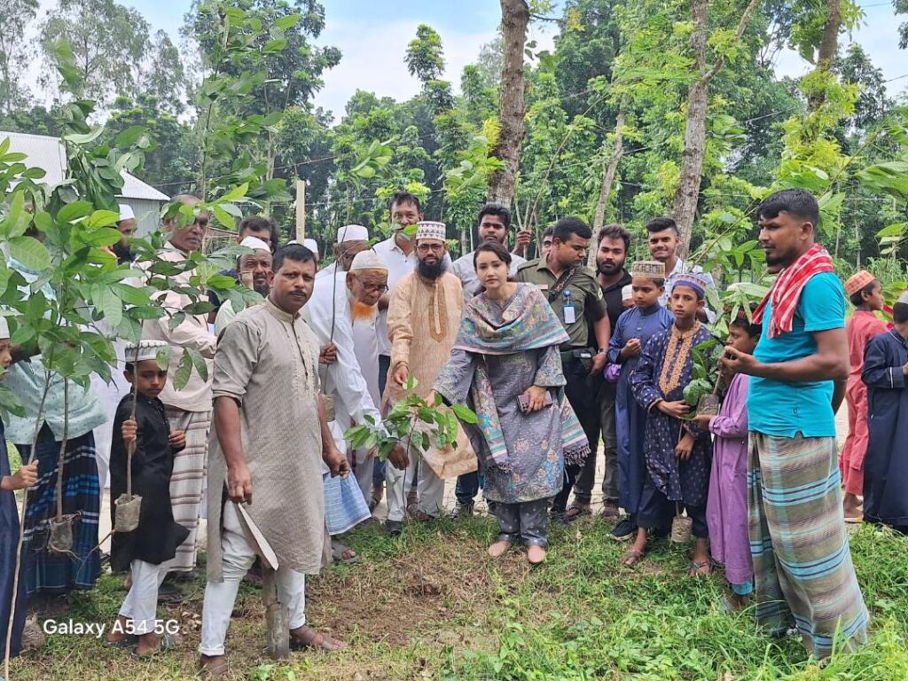 ভাঙ্গুড়ায় পরিবেশের ভারসাম্য রক্ষায় বৃক্ষরোপণ কর্মসূচি