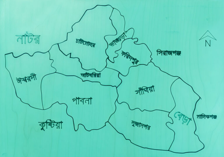 চাটমোহরে শিশুকে ধর্ষণ চেষ্টা