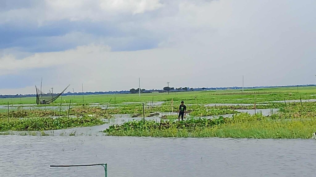 বর্ষার জলরাশি যেন চলনবিলে প্রকৃত জৌলুস ফিরে পায়