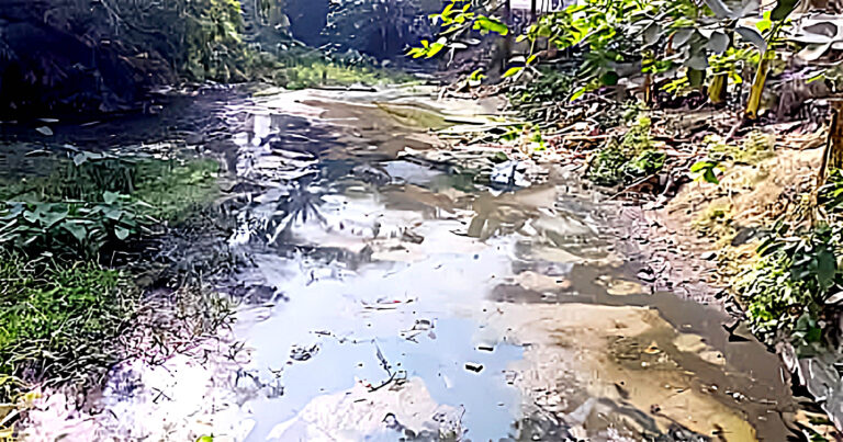 আটঘরিয়ার রতিপুরে খালে খামারের বর্জ্যে পরিবেশ হুমকিতে