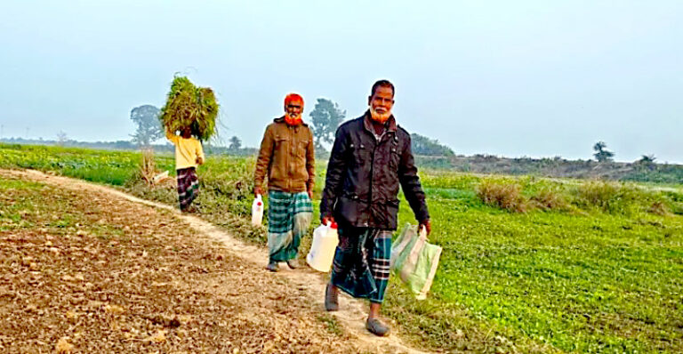 হাড় কাঁপানো শীতেও ক্লান্তিহীন কৃষক