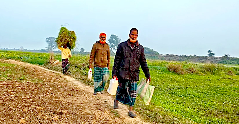 হাড় কাঁপানো শীতেও ক্লান্তিহীন কৃষক