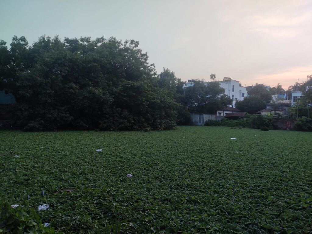 দখল দূষণে হারাচ্ছে পাবনার জলাশয় গুলো,কোন তথ্যই নেই প্রশাসনের কাছে