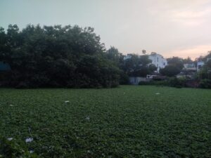 দখল দূষণে হারাচ্ছে পাবনার জলাশয় গুলো,কোন তথ্যই নেই প্রশাসনের কাছে